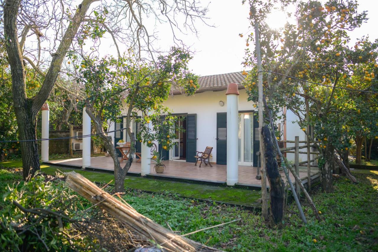 דירות פיאנו די סורנטו Agriturismo Piccolo Canyon מראה חיצוני תמונה